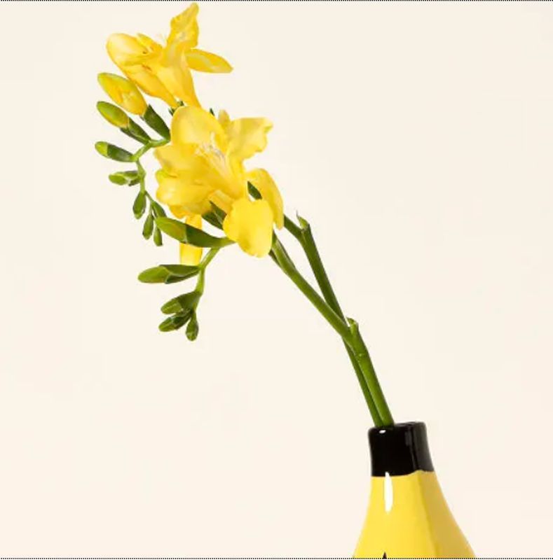 Warhol-Inspired Banana Vase