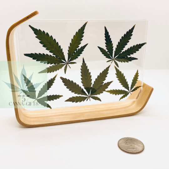 757 Cannagifts Real Cannabis Leaves in an Acrylic Solid Beech Wood Frame #3