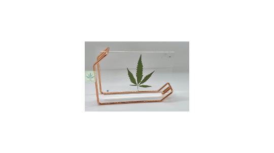 757 Cannagifts Genuine Pressed White Widow Leaf in a Floating Acrylic Frame- Small Rose Gold