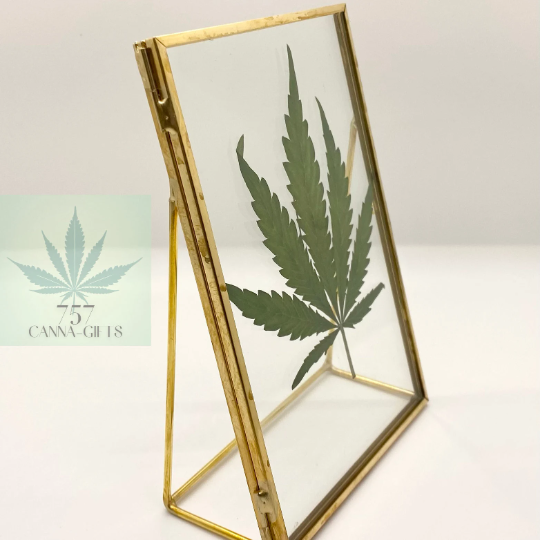 757 Cannagifts REAL Pressed Cannabis Leaf in Glass and Standing Brass Fame #1