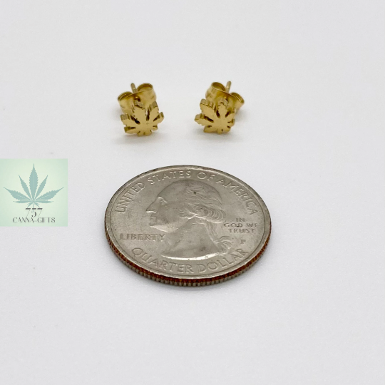 757 Cannagifts Unisex Stainless Steel Petite Cannabis Earrings