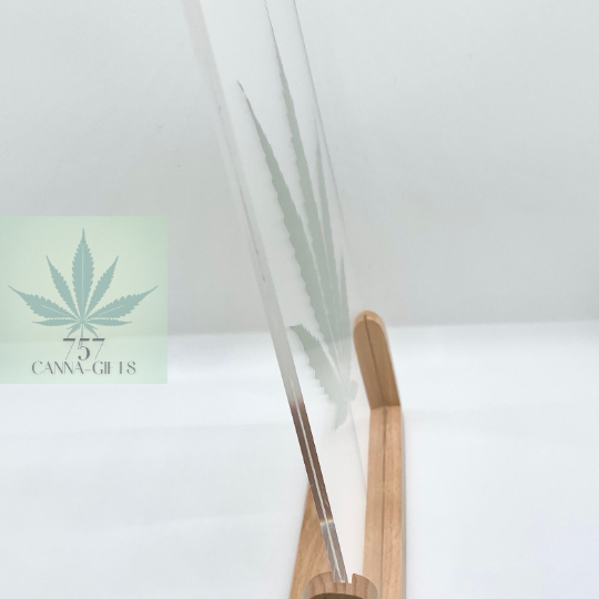 757 Cannagifts Genuine Pressed White Widow Leaf in Acrylic Floating Frame- Wood Base